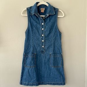 Denim Sleeveless Mini Dress
